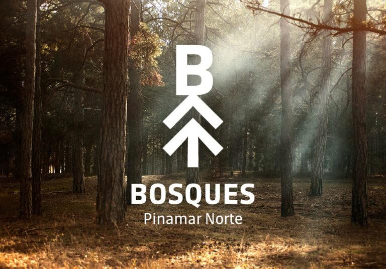 Bosques